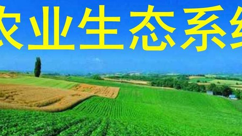 蔬菜水果配送报价单模板：制作指南与关键要素解析