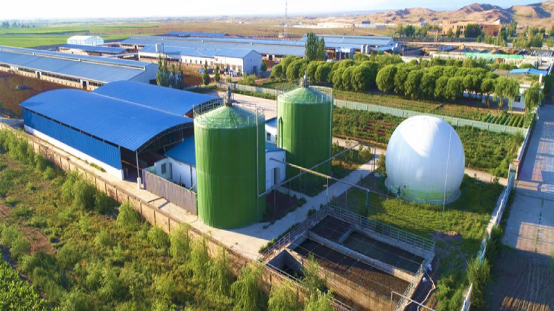 上海周边休闲农业基地哪家好