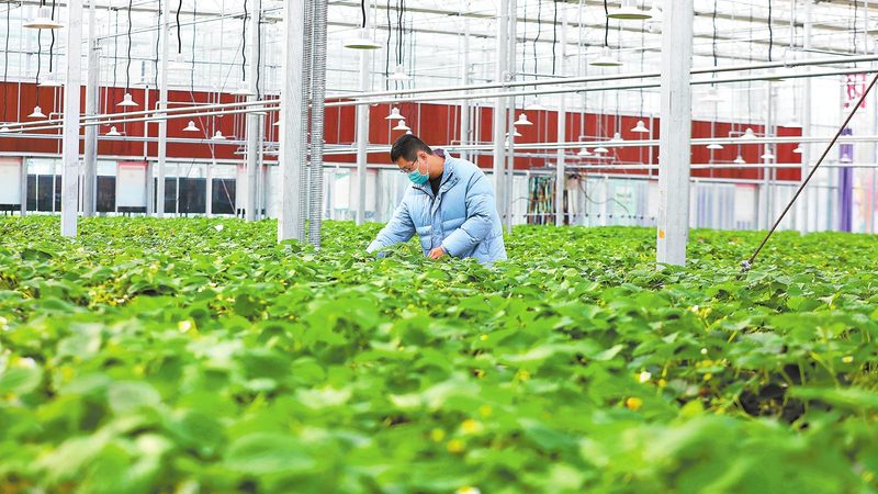 农资招标选平台，别让信息差吃掉你的利润