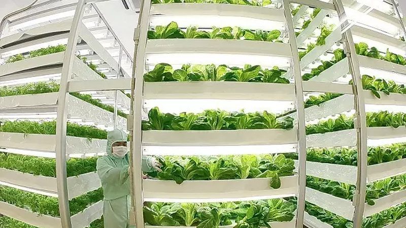 农民专业合作社注册贷款流程解析