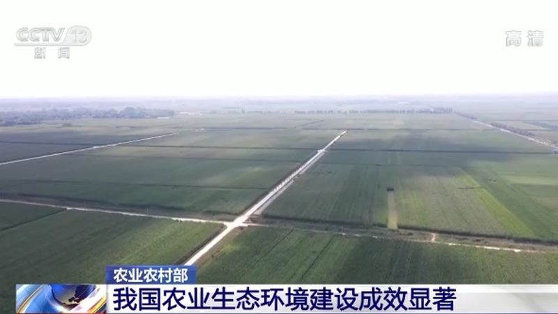 农业观光园节庆活动策划公司