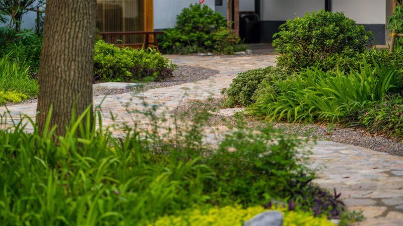 水源选择：种植地块的“生命之源”**