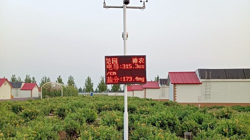 成都农产品批发市场：招商电话背后的行业洞察**