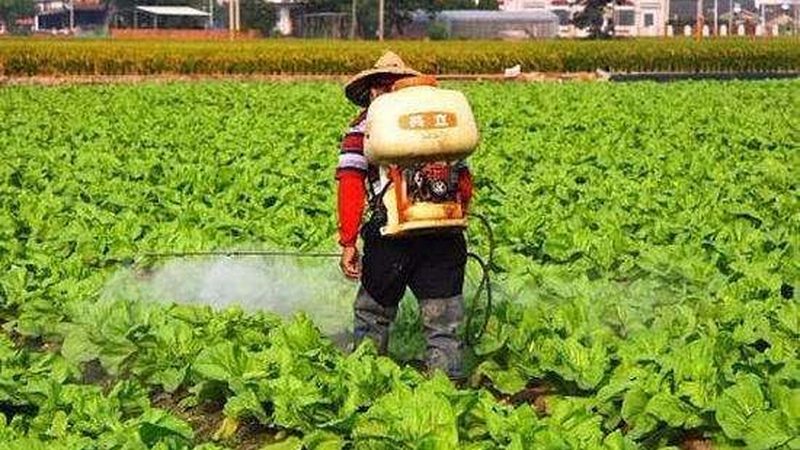 农产品供应链金融：如何选择合适的平台**