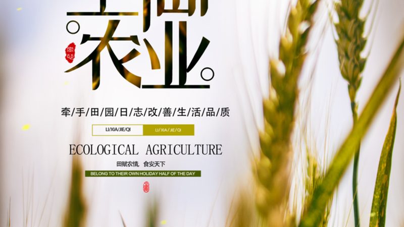 智慧农业大数据平台：助力浙江农业现代化升级
